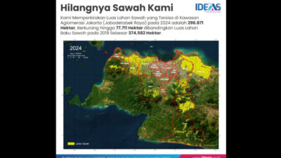 Hasil Kajian IDEAS: Lahan Sawah di Jabodetabek Raya Bakal Hilang dalam Beberapa Dekade ke Depan