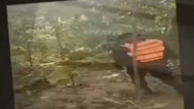 Pencarian Iptu Tomi Samuel Marbun di Sungai Rawara hingga Kampung Yakora Teluk Bintuni/(Instagram)