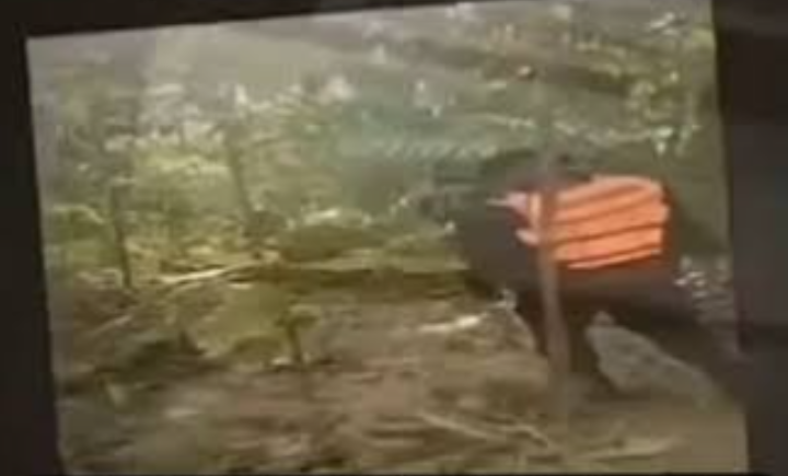 Pencarian Iptu Tomi Samuel Marbun di Sungai Rawara hingga Kampung Yakora Teluk Bintuni/(Instagram)