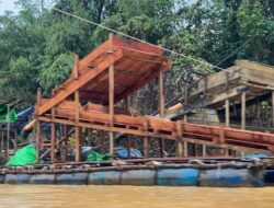 Terendus Aparat! Inisial AS Diduga Pindahkan Hampir 400 Kg Emas Ilegal ke Tempat Aman