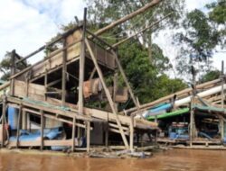 Tambang Emas Ilegal Ancam Pencemaran Lingkungan di Kabupaten Sanggau, Kalimantan Barat