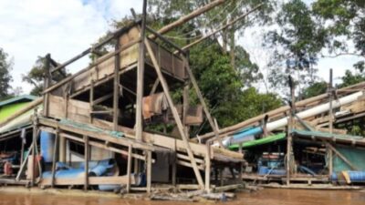 Lanting tambang emas ilegal berjejer di aliran Sungai Kapuas, Desa Samarangkai, Kecamatan Kapuas, Kabupaten Sanggau, diduga kuat memiliki jaringan langsung dengan pemodal inisial (AS). Foto: (Dok.HO/Faktakalbar.id)