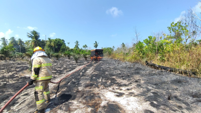 BNPB: Karhutla Meluas di Tiga Provinsi, Gempa Poso dan Aktivitas Gunung Lewotobi Meningkat Akhir Juli 2025