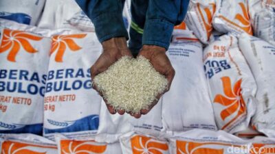 Pemerintah Tambah Serapan 1 Juta Ton Beras untuk Jaga Harga Gabah Petani