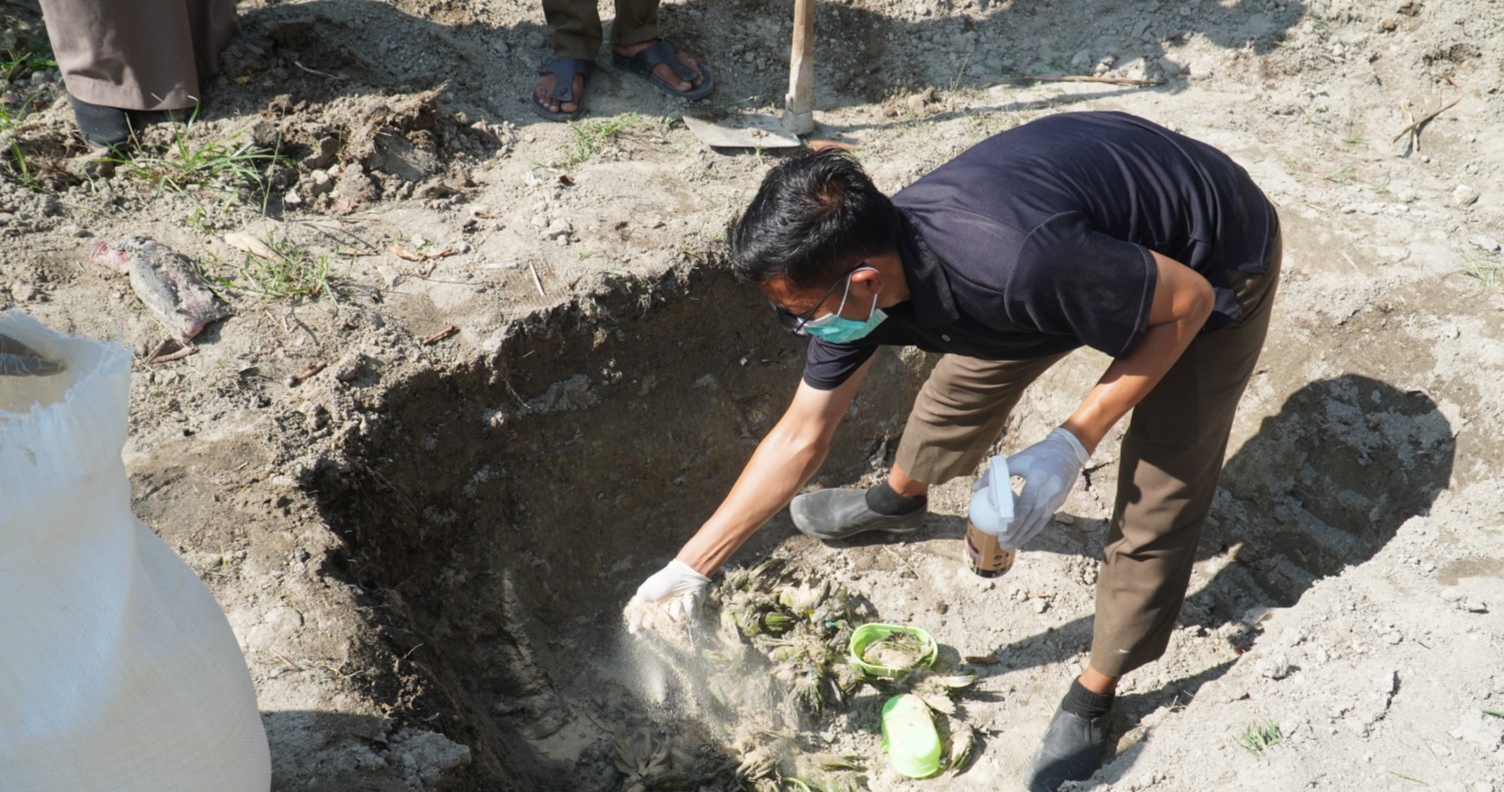 Bea Cukai Gagalkan Penyelundupan Unggas Ilegal