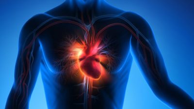 Faktor Genetik Penyakit Jantung: Ahli Sebut Gaya Hidup Tetap Lebih Berpengaruh
