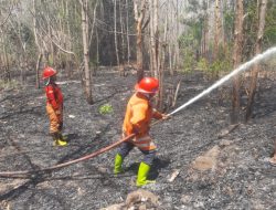 Banjir Medan, Tebing Tinggi, Batubara! Laporan Bencana BNPB