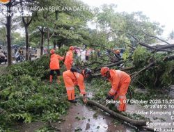 BNPB Rilis Situasi Bencana Terbaru: Banjir Simalungun & Update Identifikasi Korban Sidoarjo