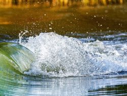 Kemensos Salurkan Bantuan Rp 2,66 Miliar untuk Korban Banjir Sumut, Sumbar, dan Aceh