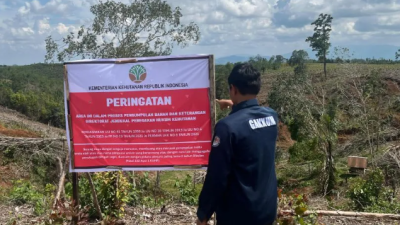 Kemenhut Investigasi Kerusakan Hutan Tapanuli: 12 Pihak Terindikasi